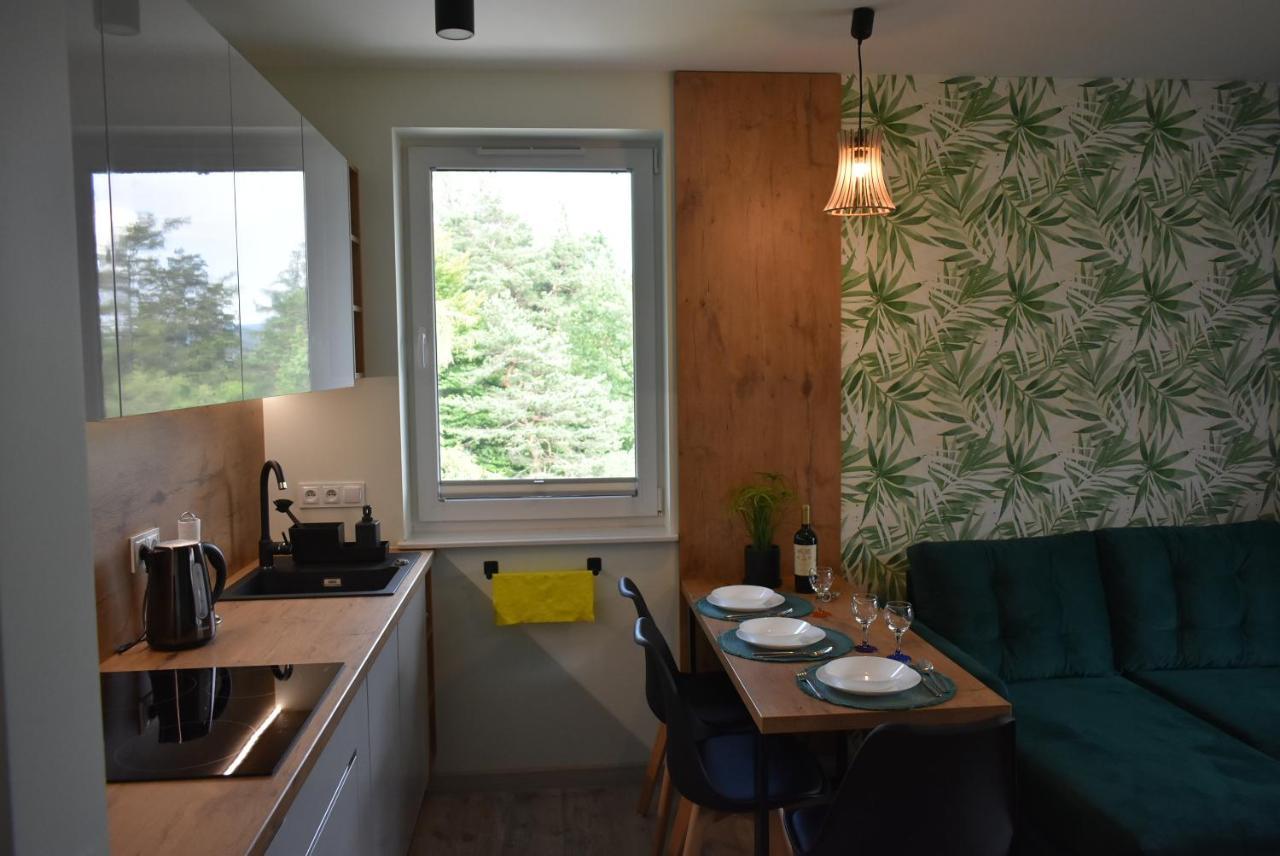 Apartament Resto Świeradów-Zdrój Exterior foto